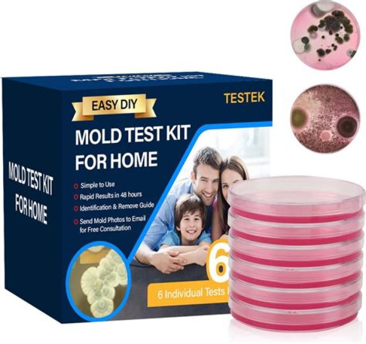 Can you do a mold test on yourself?