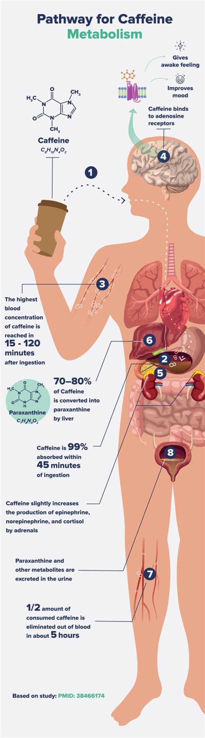 Can you drink caffeine with a pacemaker?