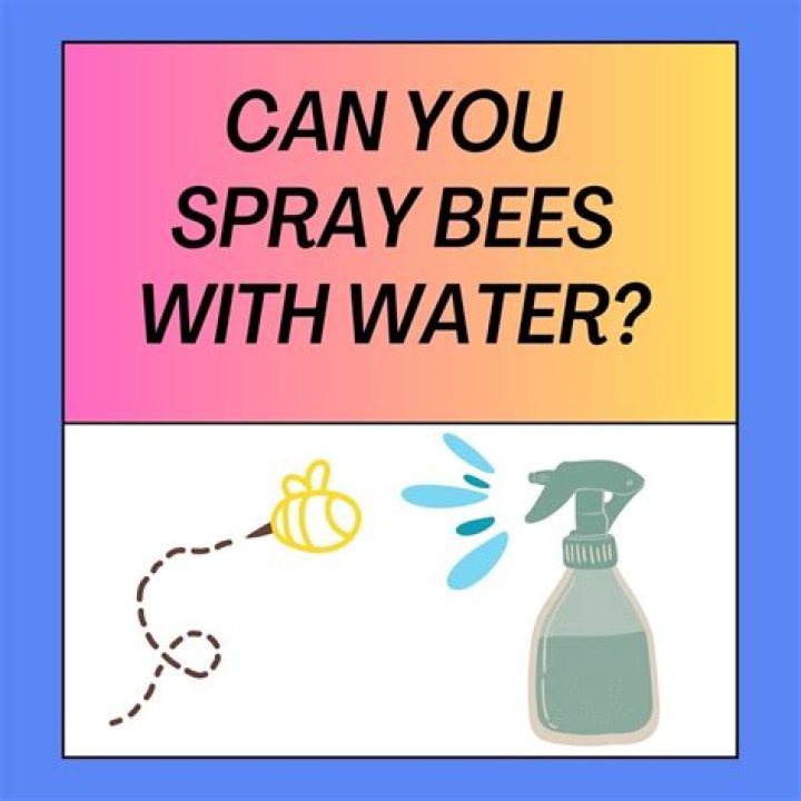 Can you drown bees?