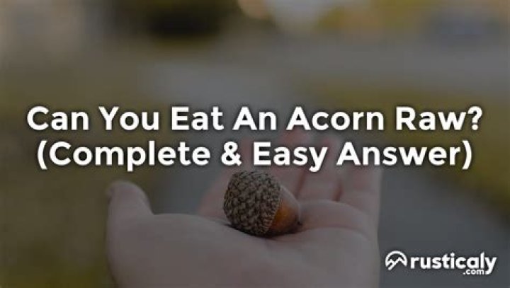 Can you eat an acorn raw?