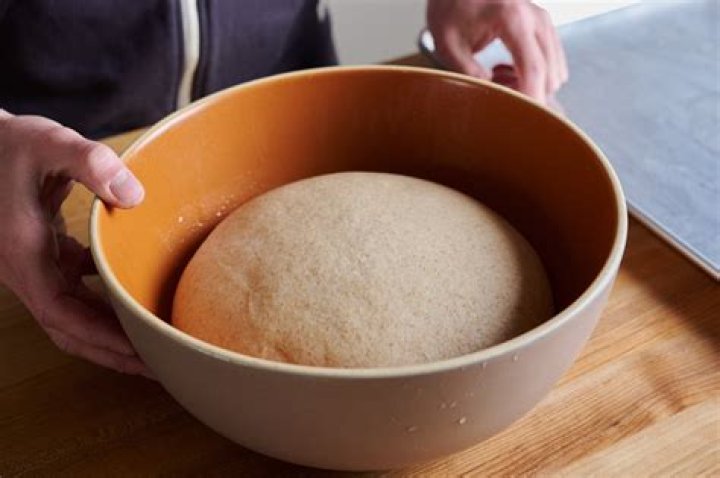 Can you ferment with bread yeast?