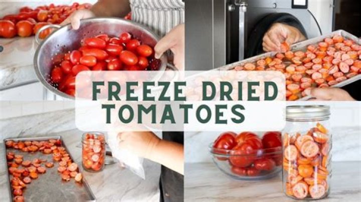 Can you freeze sliced tomatoes?