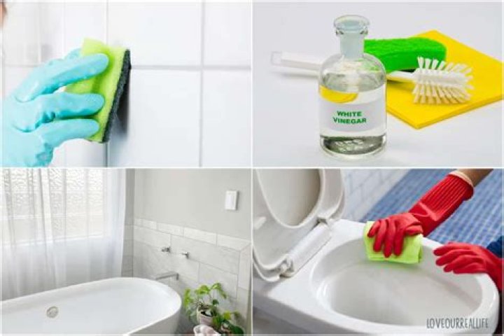 Can you get sick from not cleaning your bathroom?