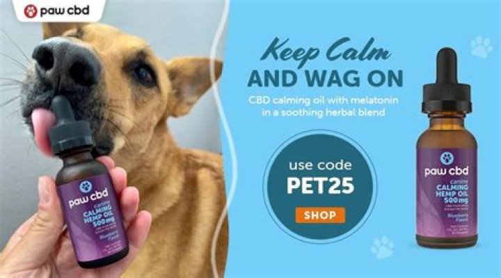 Can you give too much CBD oil to dogs?