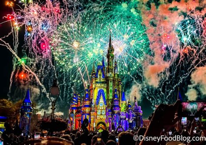 Can you go to Disney just for the fireworks?