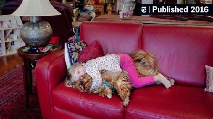 Can you hug your dog?