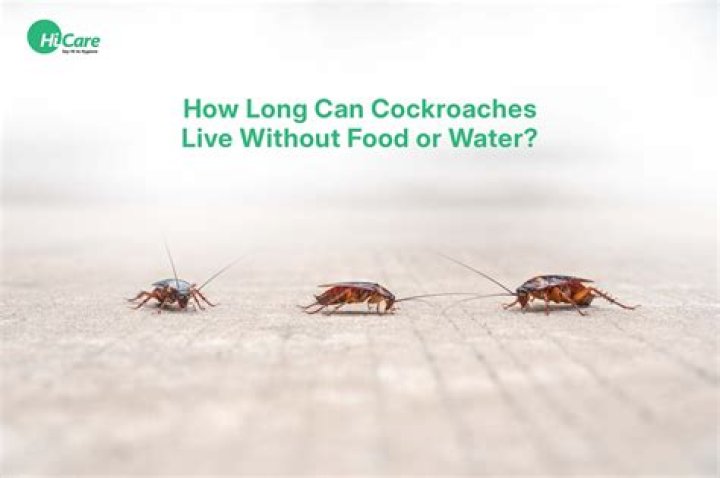 Can you live with water and no food?