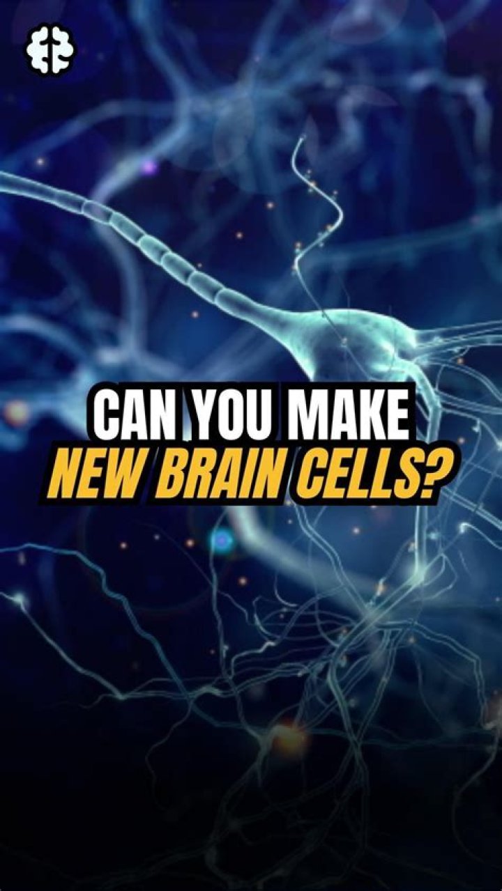 Can you make new brain cells?
