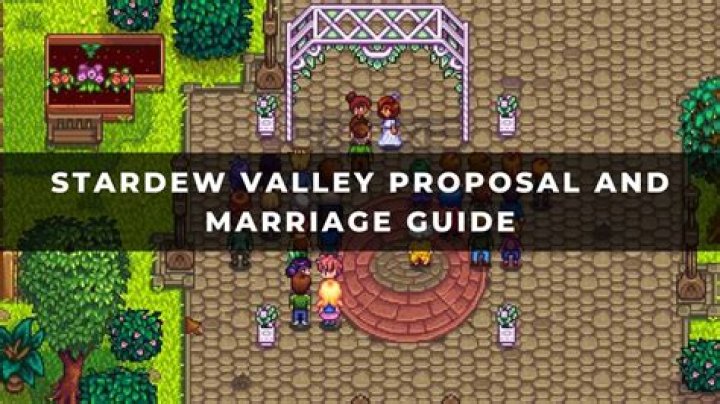 Can you marry 2 NPC in Stardew Valley?