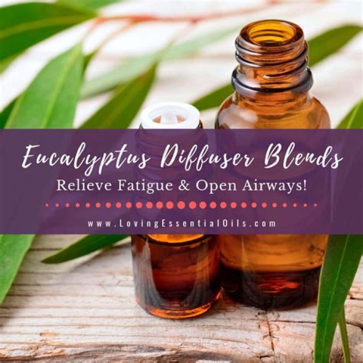 Can you mix eucalyptus peppermint and tea tree oil?