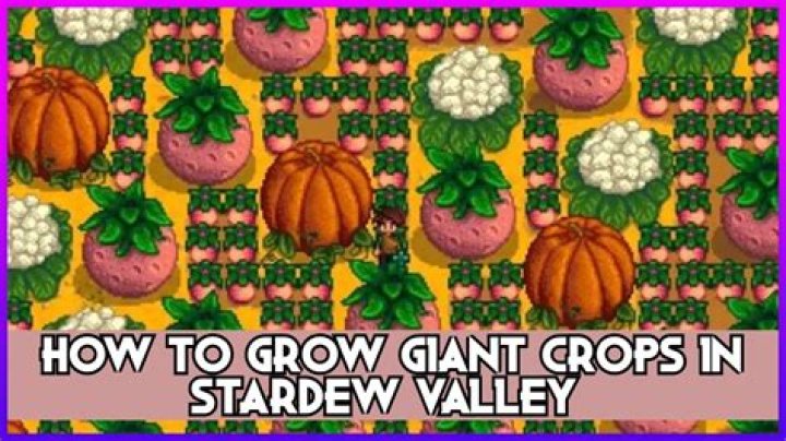Can you move Giant Crops Stardew?