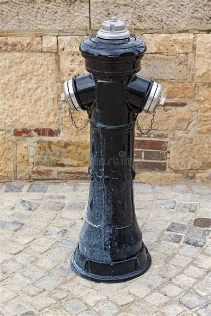 Can you paint a fire hydrant black?