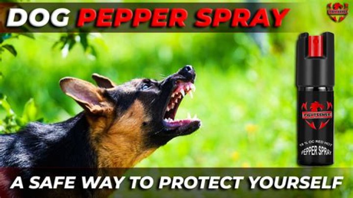 Can you pepper spray a coyote?