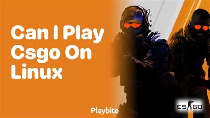 Can you play CSGO on Linux?