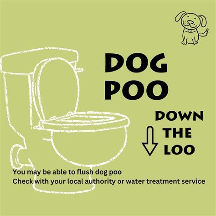Can you put dog poo down the sewer?