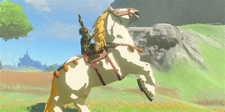 Can you put gear on the giant horse Botw?