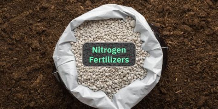 Can you put straight nitrogen on your lawn?