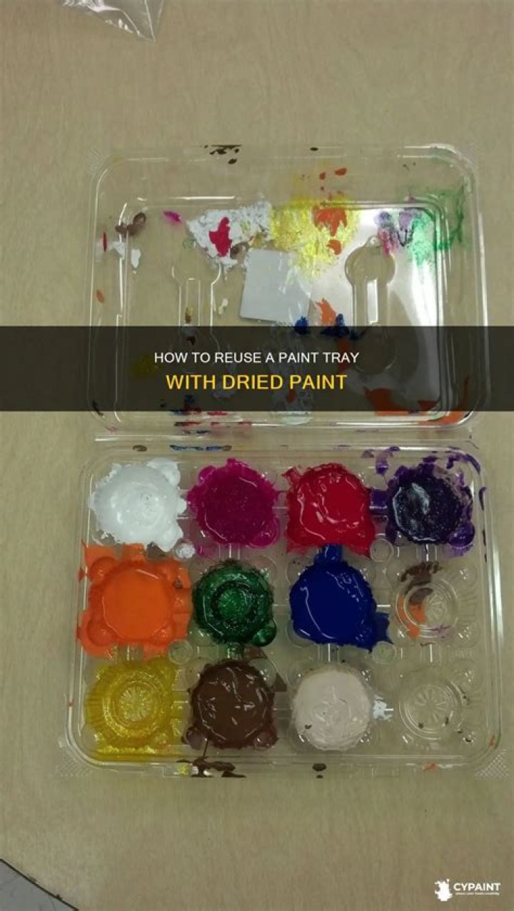 Can you reuse a paint tray with dried paint?