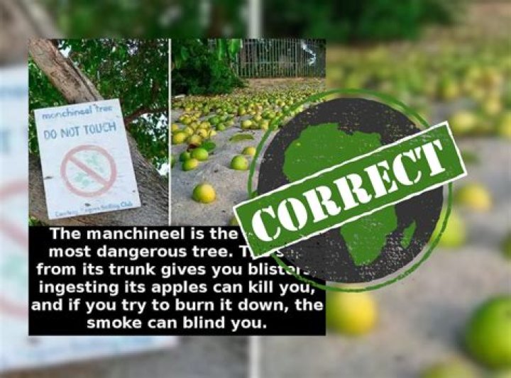 Can you smoke around birds?