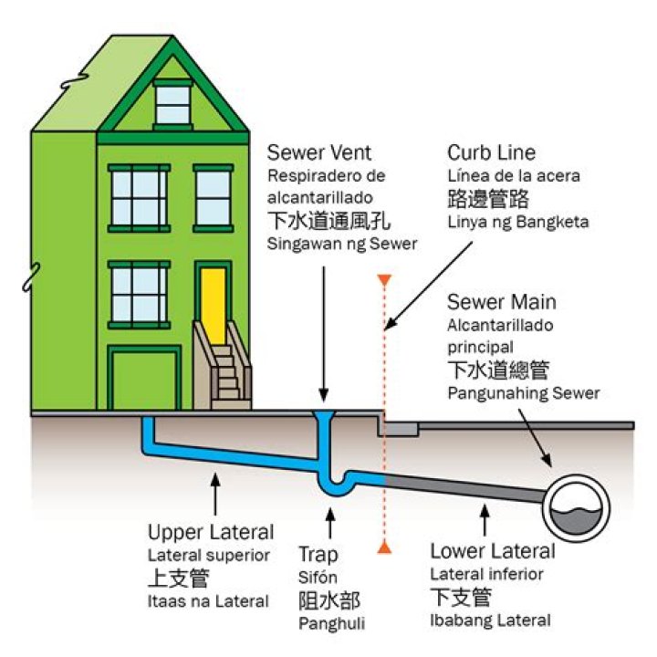 Can you snake a sewer line?