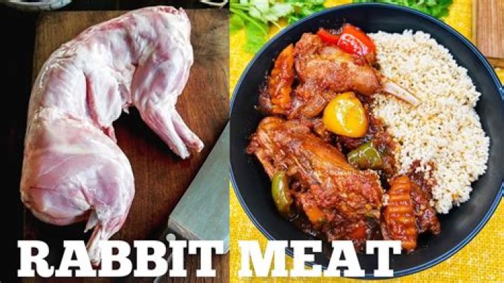 Can you survive on rabbit meat?
