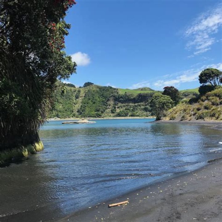 Can you swim in the Daintree?