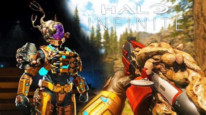 Can you unlock armor in Halo Infinite?