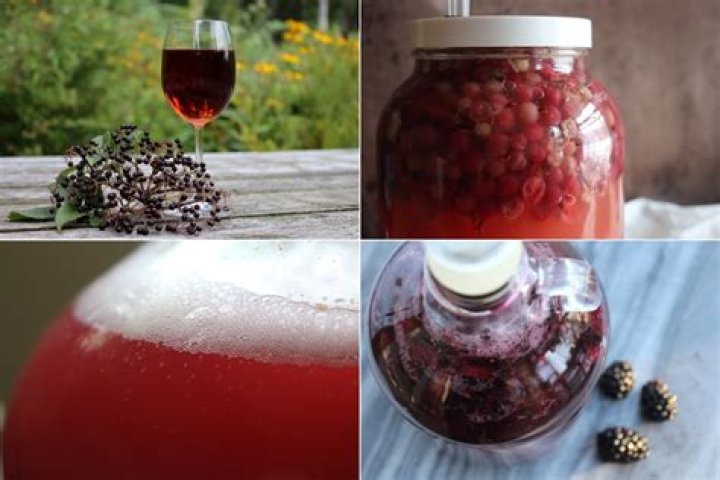 Can you use regular yeast to make wine?