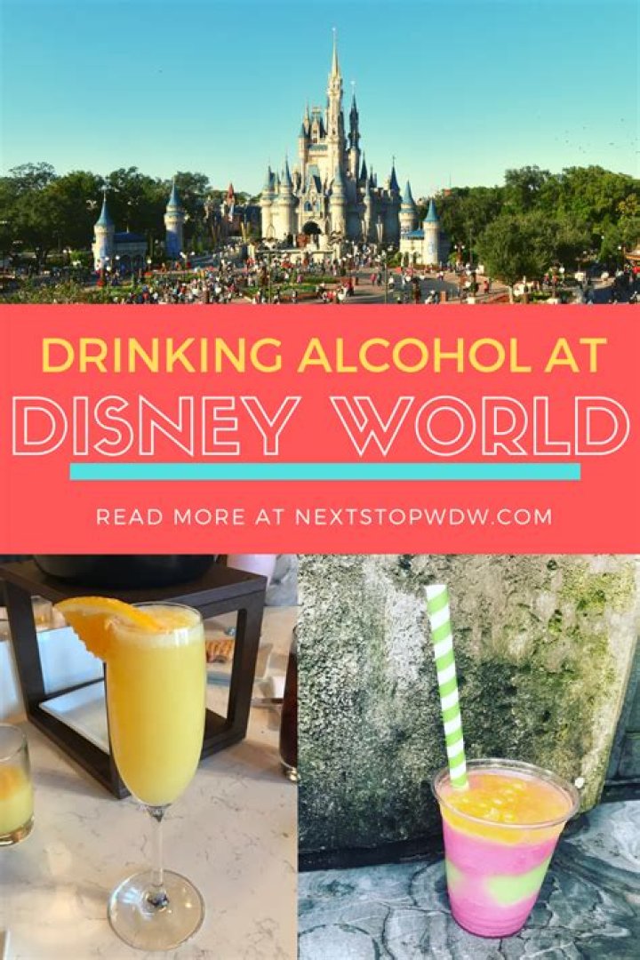 Can you walk around with alcohol at Disney World?