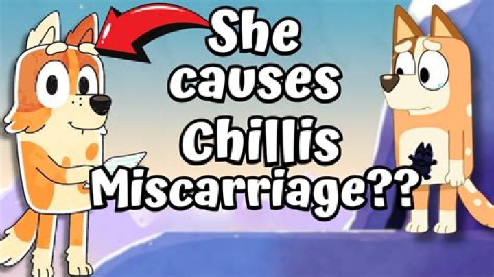 Did chilli from Bluey have a miscarriage?