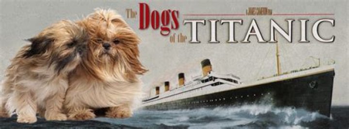Did dogs survive the Titanic?