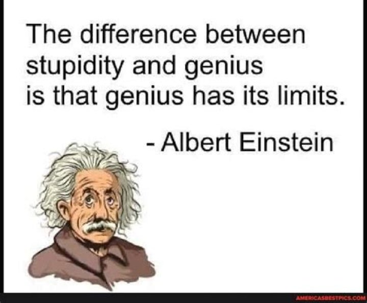 Did Einstein say the difference between genius and stupidity?