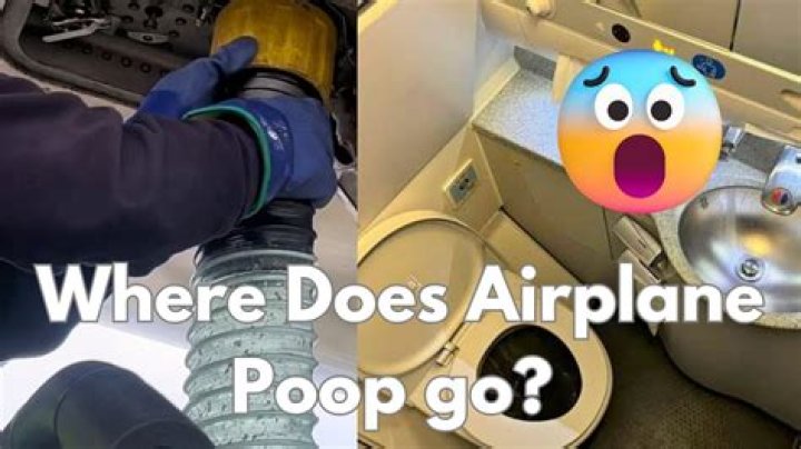 Do airplanes dump poop in air?