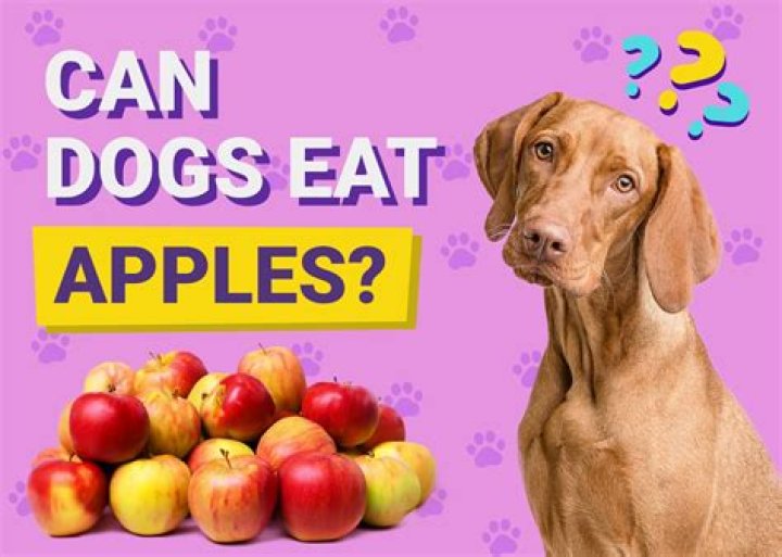 Do apples have lead?