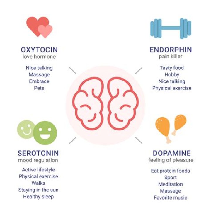 Do B vitamins increase serotonin?