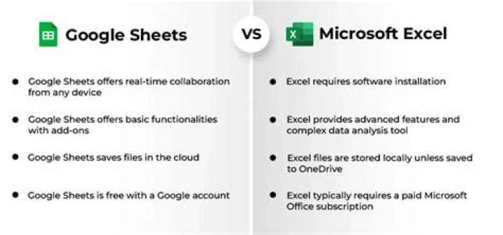Do businesses use Excel or Google Sheets?