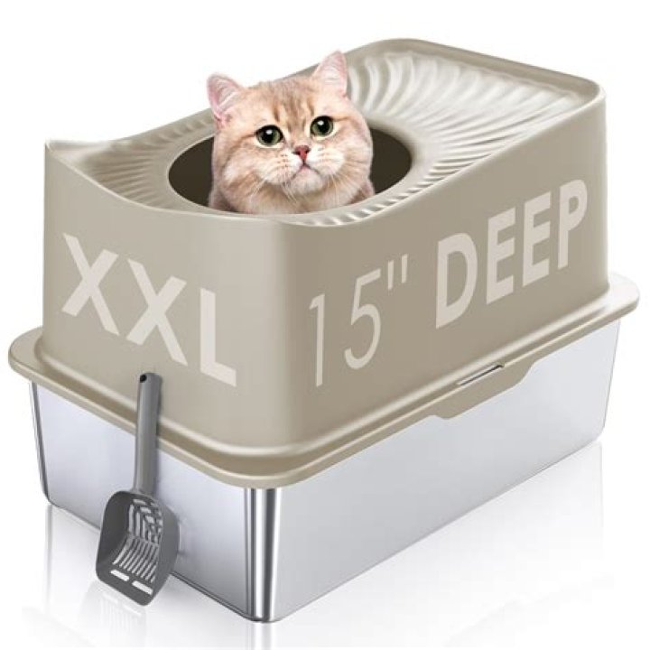 Do cats like Top Entry litter box?