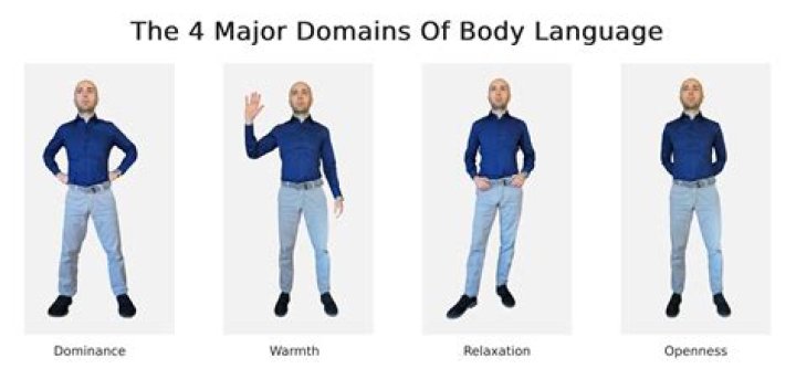 Do cats poop to assert dominance?