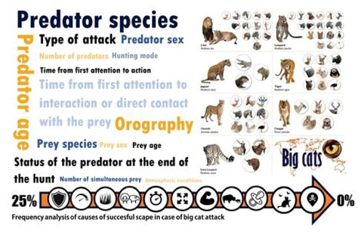 Do cats see dogs as predators?