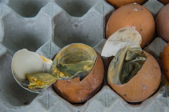 Do century eggs smell?