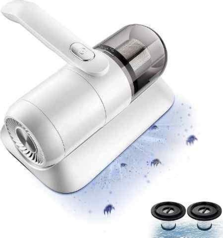 Do chiggers live in your bed?