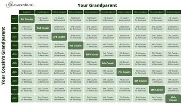 Do cousins have the same DNA?