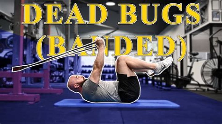 Do dead bugs attract more bugs?