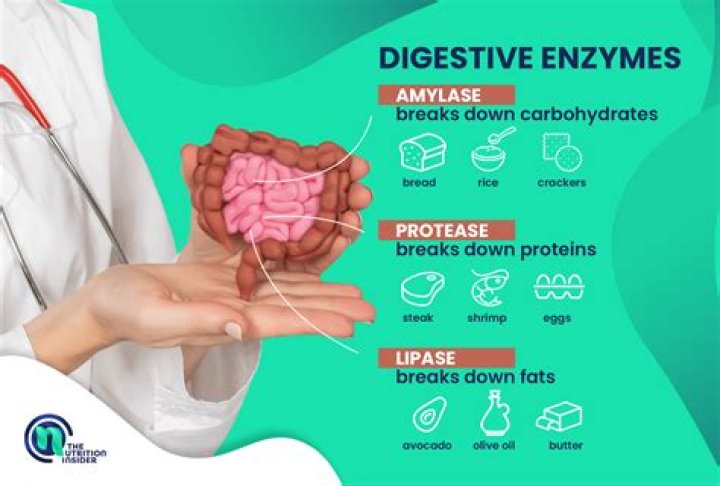Do digestive enzymes help with gastroparesis?