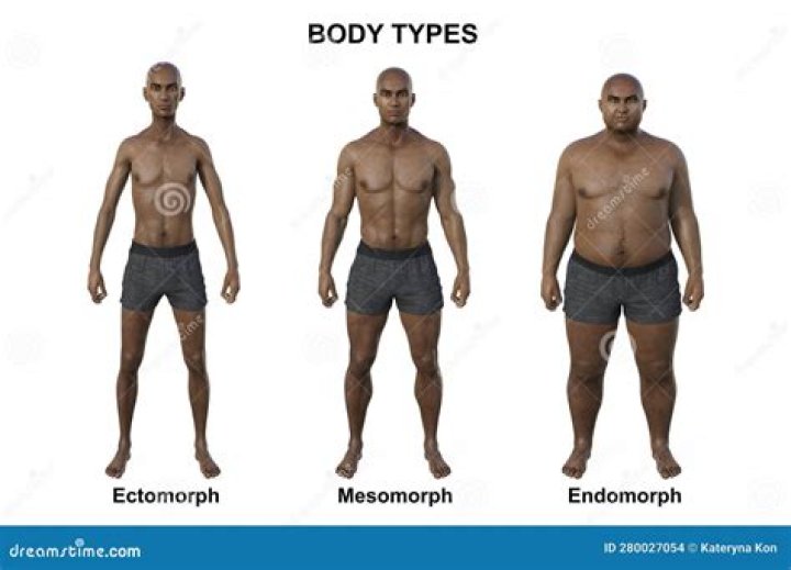 Do Ectomorphs live longer?