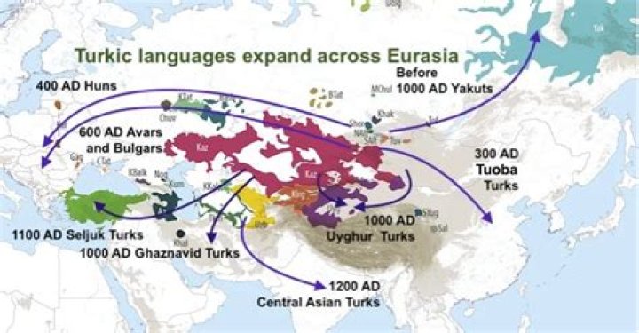 Do Europeans come from Anatolia?