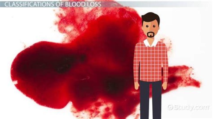 Do flies bleed red blood?