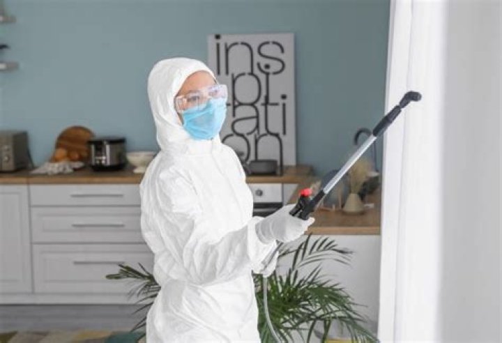 Do foggers work for bed bugs?