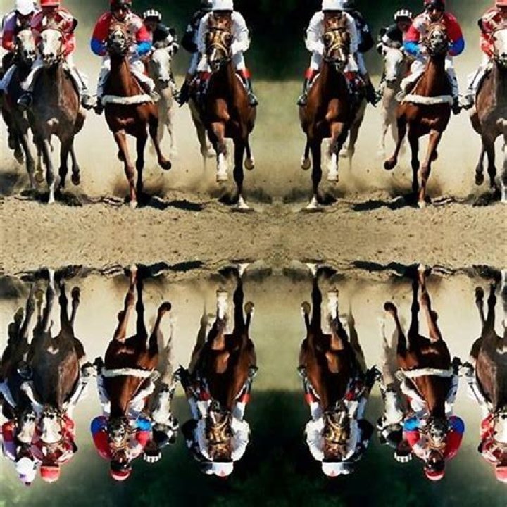 Do horses have such weird names?