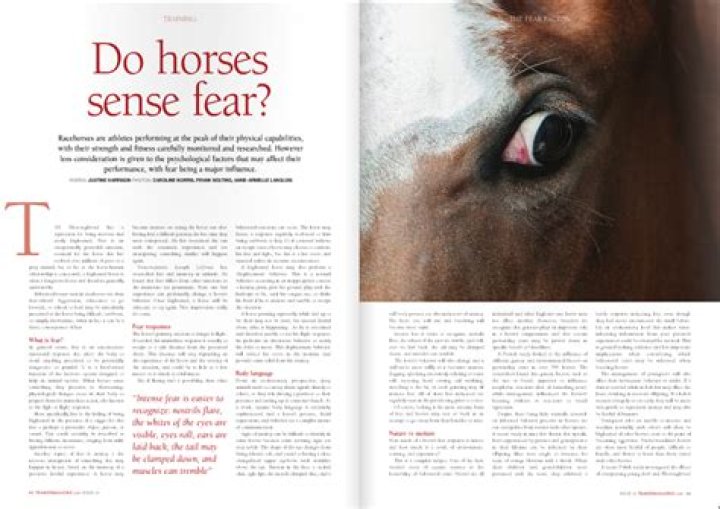 Do horses sense fear?